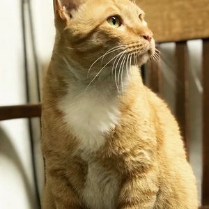 Meet your Posher, Hailey